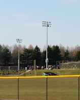 A sports field with a group of people engaging in athletic activities in the background. There is sports equipment like a soccer goal and a scoreboard visible. A chain-link fence runs across the foreground, and a statue or sculpture resembling an eagle is also seen. Trees and tall floodlights are positioned behind the field.